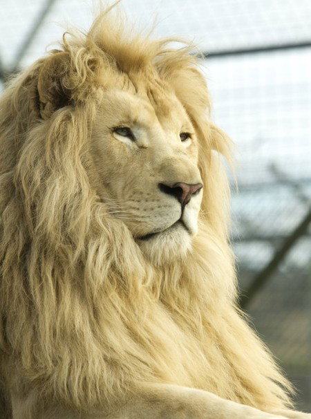 Zoo Doo Wildlife Park - Accommodation Kalgoorlie 3