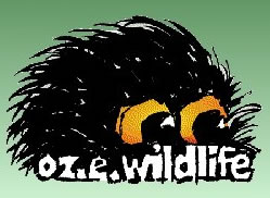 OZe Wildlife - Accommodation Kalgoorlie 0
