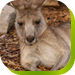 Abbotsbury NSW Accommodation Kalgoorlie