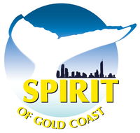 Spirit of Gold Coast Whale Watching - Accommodation Kalgoorlie