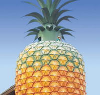 The Big Pineapple - Accommodation Kalgoorlie