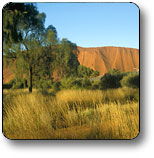 Areyonga NT Accommodation Kalgoorlie