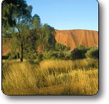Uluru - Kata Tjuta National Park - Accommodation Kalgoorlie