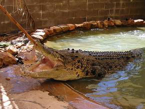 Oombulgurri WA Accommodation Kalgoorlie
