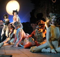Harvest Rain Theatre Company - Accommodation Kalgoorlie