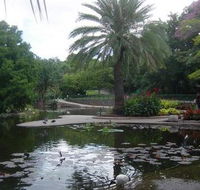 Brisbane City Botanic Gardens - Accommodation Kalgoorlie