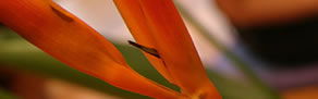 Zen Day Spa - Accommodation Kalgoorlie 0