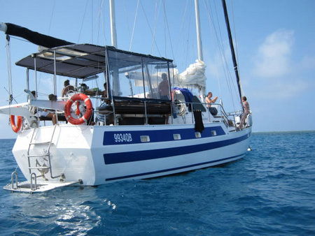 Coral Sea Dreaming Dive And Sail - Accommodation Kalgoorlie 3