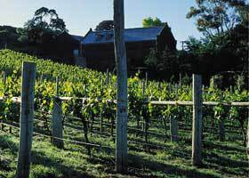 Goona Warra Vineyard - Accommodation Kalgoorlie 1