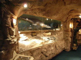 The National Opal Collection - Accommodation Kalgoorlie 2