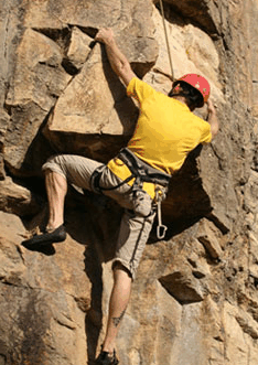 Adventures Around Brisbane - Accommodation Kalgoorlie 3