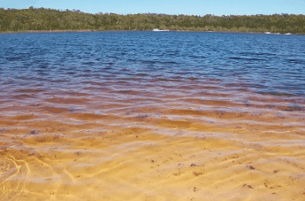 Beach Trekkers North Stradbroke Island - Accommodation Kalgoorlie 1
