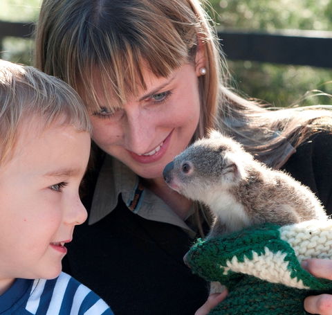 Australian Reptile Park - Accommodation Kalgoorlie 1