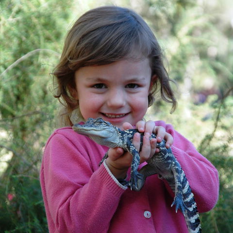 Australian Reptile Park - Accommodation Kalgoorlie 2