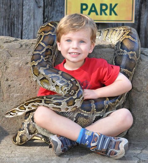 Australian Reptile Park - Accommodation Kalgoorlie 3