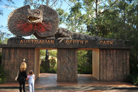 Australian Reptile Park - Accommodation Kalgoorlie 5