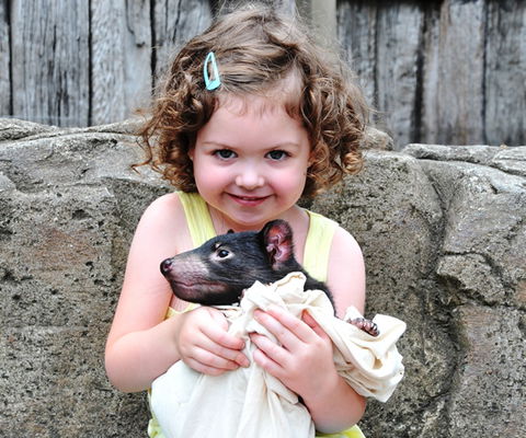 Australian Reptile Park - Accommodation Kalgoorlie 8