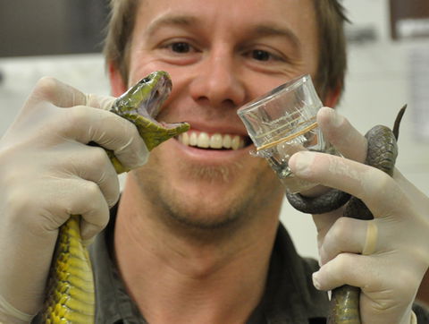 Australian Reptile Park - Accommodation Kalgoorlie 9
