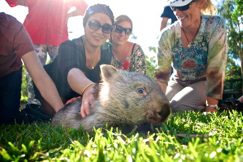 Australian Reptile Park - Accommodation Kalgoorlie 10