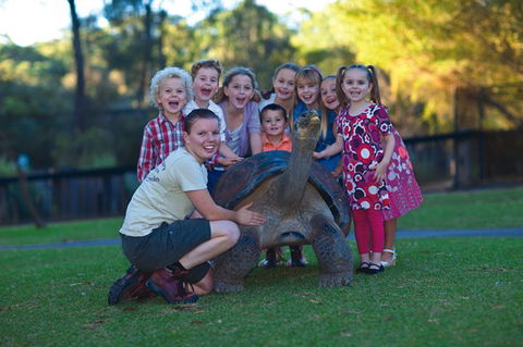 Australian Reptile Park - Accommodation Kalgoorlie 11