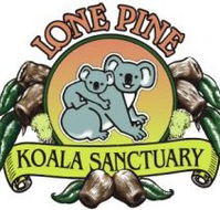 Lone Pine Koala Sanctuary - Accommodation Kalgoorlie