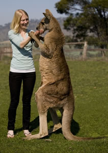 Zoo Doo Wildlife Park - Accommodation Kalgoorlie 5