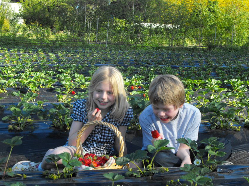 Silvan VIC Accommodation Kalgoorlie