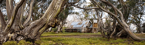 High Country Scenic Tours - Accommodation Kalgoorlie