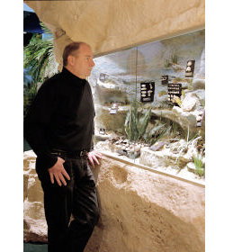 The National Opal Collection - Accommodation Kalgoorlie 5