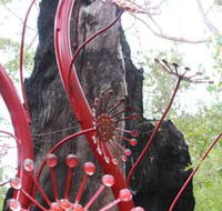 Understory Art In Nature - Accommodation Kalgoorlie