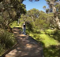 Leschenault Peninsula Conservation Park - Accommodation Kalgoorlie