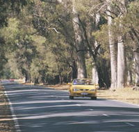 Ludlow Tuart Forest - Accommodation Kalgoorlie