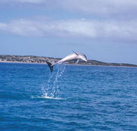 Steep Point - Accommodation Kalgoorlie
