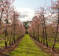 Raeburn Orchards - Accommodation Kalgoorlie
