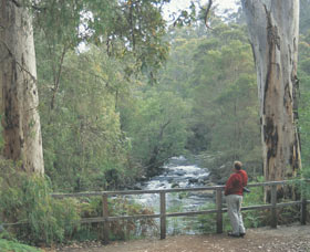Cascades - Accommodation Kalgoorlie 0