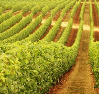MadFish Wines Denmark - Accommodation Kalgoorlie