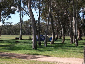 Black Cockatoo Bush Camp - Accommodation Kalgoorlie 0