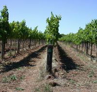 Temple Bruer Winery - Accommodation Kalgoorlie