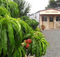 Gully Gardens - Accommodation Kalgoorlie