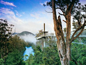 Tahune Adventures Tasmania - Accommodation Kalgoorlie 0