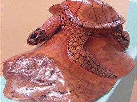 Ants Redgum Gallery - Accommodation Kalgoorlie 0