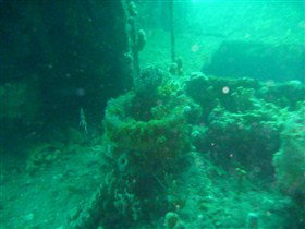 Wallaroo Scuba Club - Accommodation Kalgoorlie 0