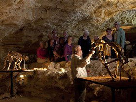 Naracoorte Caves National Park - Accommodation Kalgoorlie 0