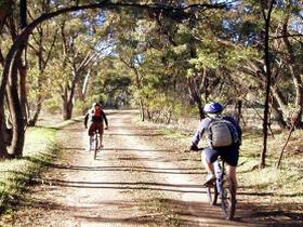 Bike About Mountain Bike Tours And Hire - Accommodation Kalgoorlie 0