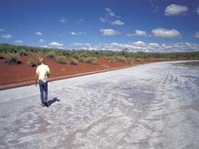 Lake Gairdner National Park - Accommodation Kalgoorlie 0