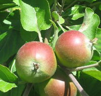 Sage Cooking School - Accommodation Kalgoorlie