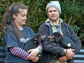 Cradle Mountain TAS Accommodation Kalgoorlie