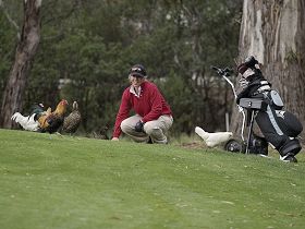 Tasmania Golf Club - The - Accommodation Kalgoorlie 0