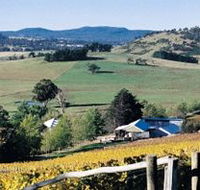 Freycinet Vineyards Pty Ltd - Accommodation Kalgoorlie