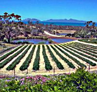 Kate's Berry Farm - Accommodation Kalgoorlie